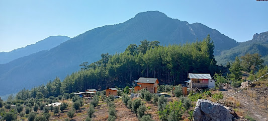Doğa kampimg ahşap evleri