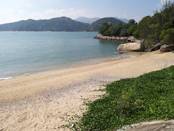 Tai Kwai Wan Garaden'in fotoğrafı geniş bir kıyı şeridi ile birlikte