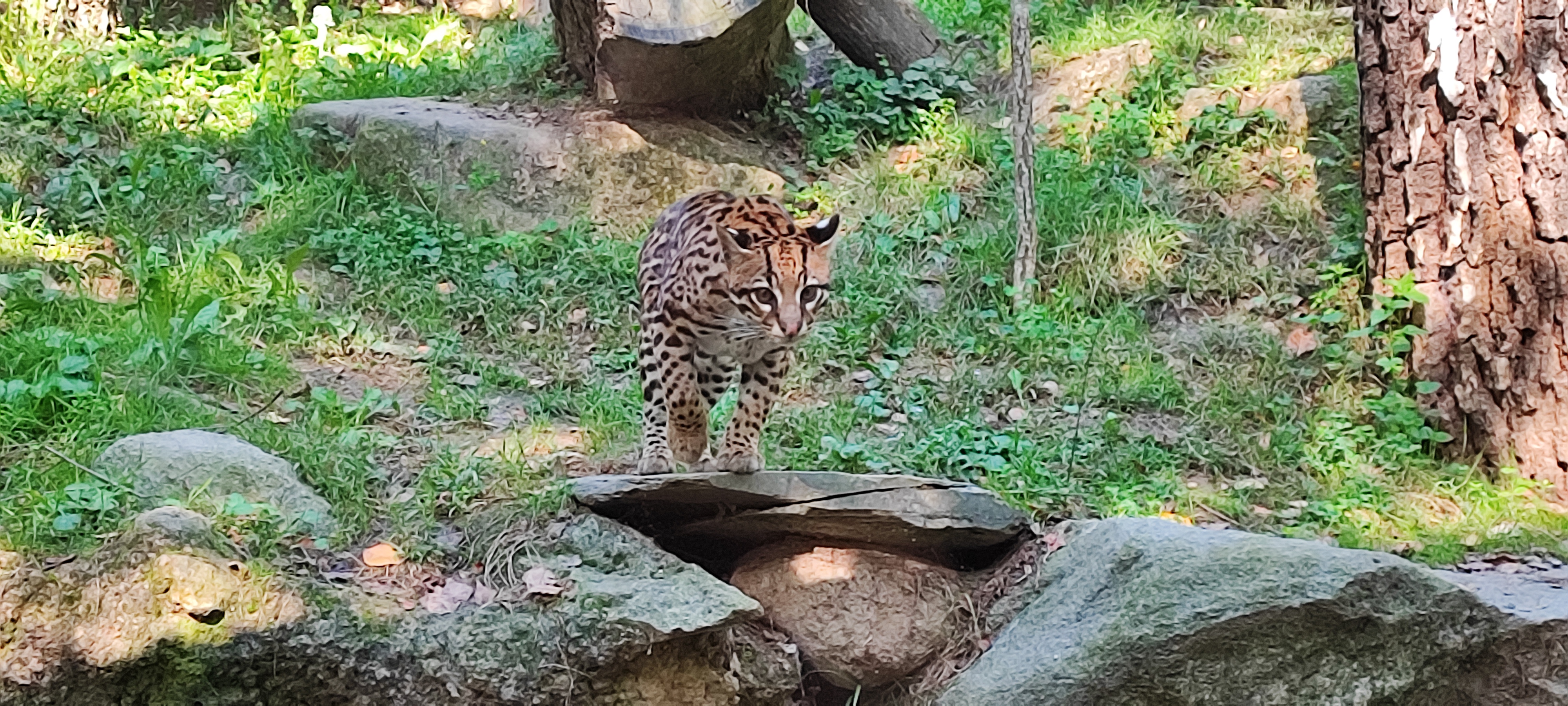 Photo n° 33 de l'avis de Thierry.i fait le 28/09/2023 à 17:40