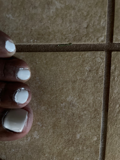 Nail Salon «Alina Nails Salon», reviews and photos, 17195 US-441, Mt Dora, FL 32757, USA