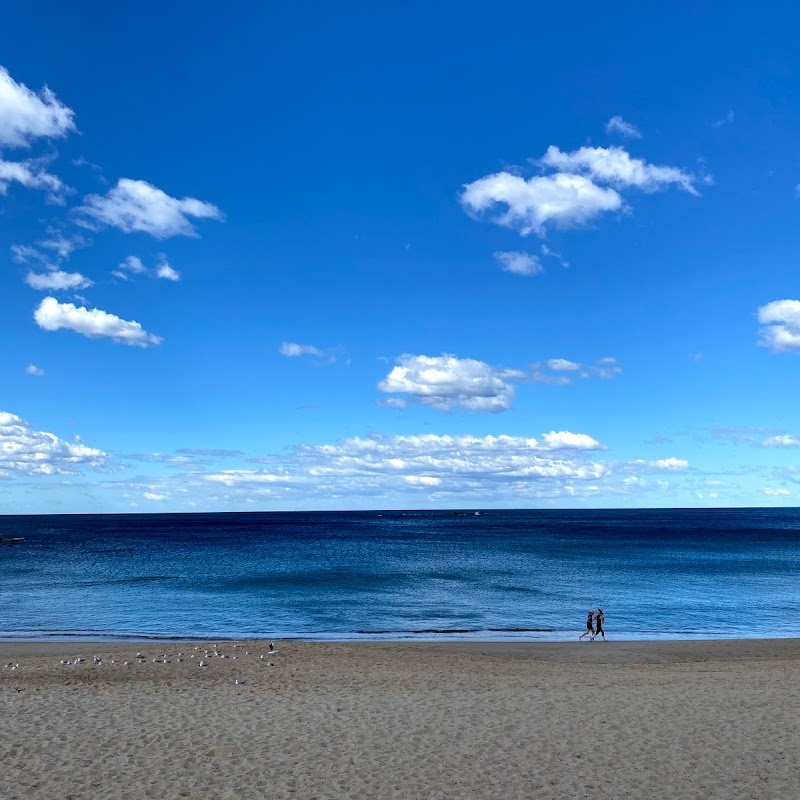 Coogee Beach