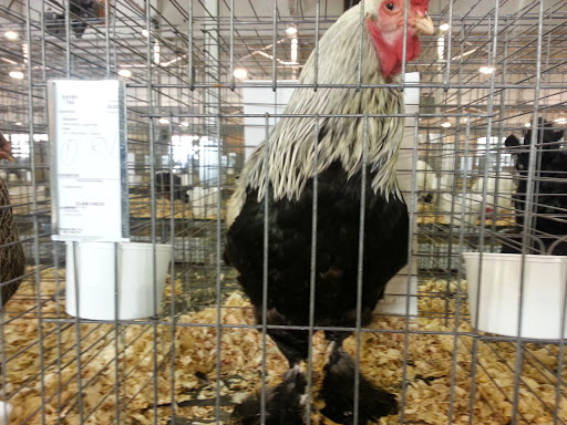 Event Venue «Event Center», reviews and photos, 1202 E 38th St, Indianapolis, IN 46205, USA