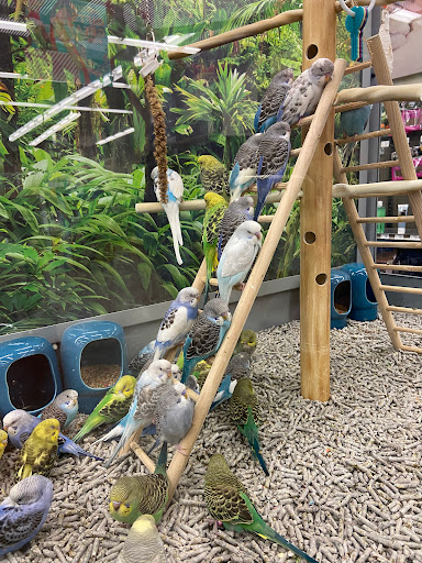 Pet Supply Store «Petco Animal Supplies», reviews and photos, 13311 20th Ave, College Point, NY 11356, USA