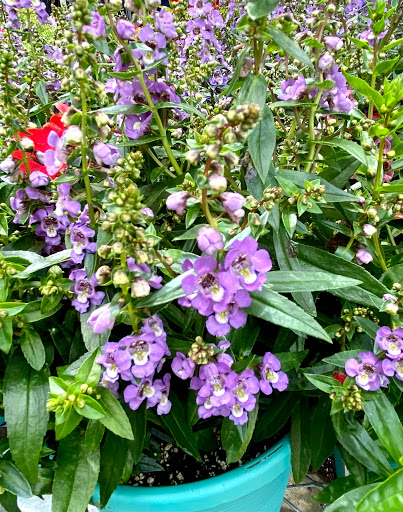 Home Improvement Store «The Home Depot», reviews and photos, 899 County St, Taunton, MA 02780, USA