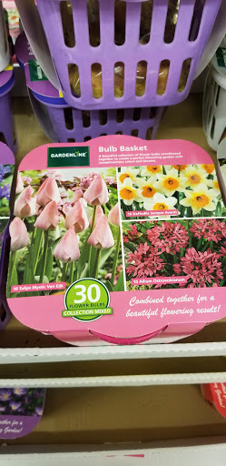 Supermarket «ALDI», reviews and photos, 407 S Lowry St, Smyrna, TN 37167, USA