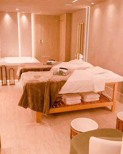 Logo da empresa - MSÄ Spa