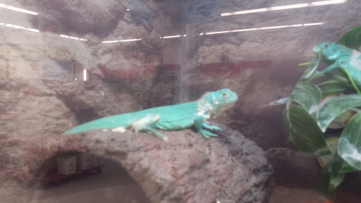 Pet Supply Store «Petco Animal Supplies», reviews and photos, 1201 E Washington Ave, Union Gap, WA 98903, USA