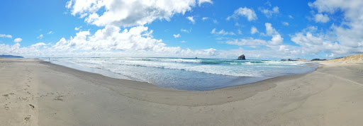 Horse Boarding Stable «Green Acres Beach & Trail Rides», reviews and photos, 5985 Pacific Ave, Cloverdale, OR 97112, USA