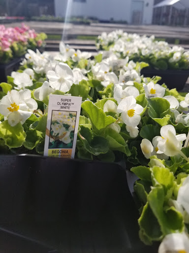 Florist «Lyndhurst Florist», reviews and photos, 5268 Mayfield Rd, Lyndhurst, OH 44124, USA