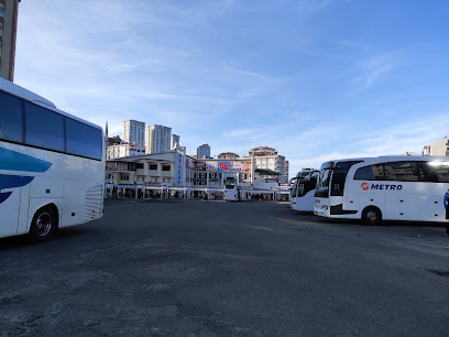 Rize Şehirler Arası Otobüs Terminali Otogar