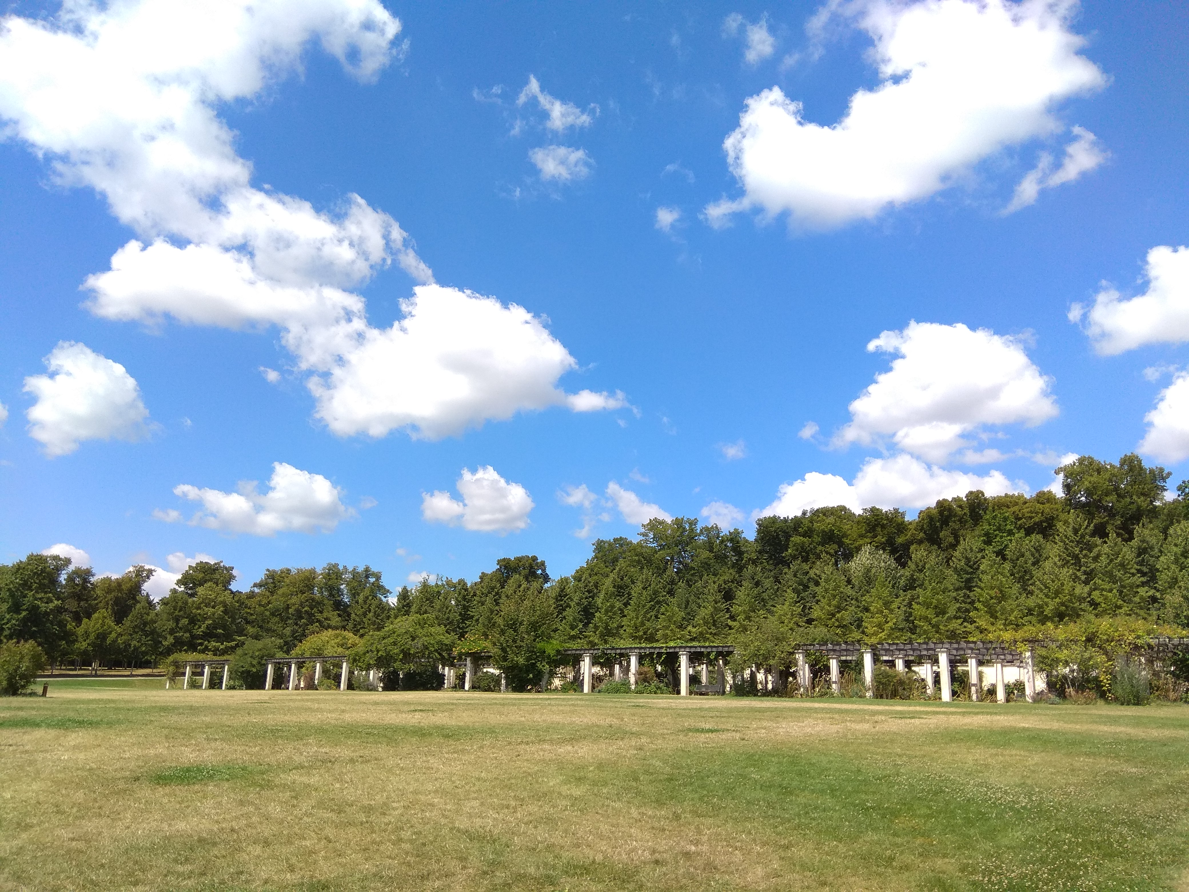 Photo n° 1 de l'avis de veeresha. fait le 18/07/2020 à 13:05