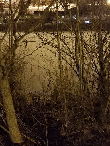 Ski Resort «Shawnee Mountain Ski Area», reviews and photos, 401 Hollow Rd, East Stroudsburg, PA 18301, USA