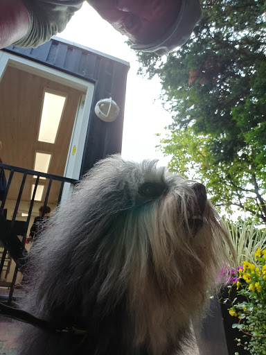 Vestjysk Hundesalon v/Lissi Thorsted Petersen in Janderup Vestj, Varde