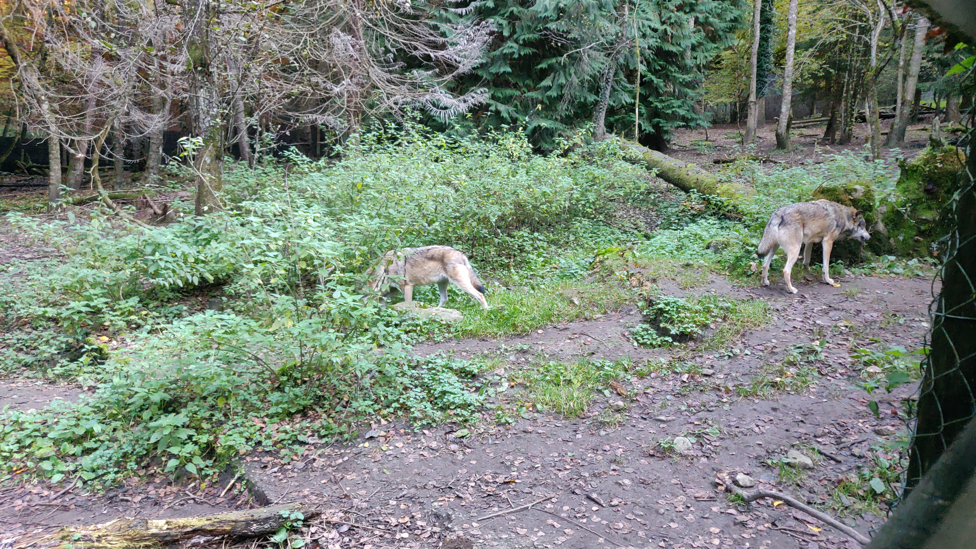 Photo n° 6 de l'avis de Arti.l fait le 29/10/2021 à 16:50