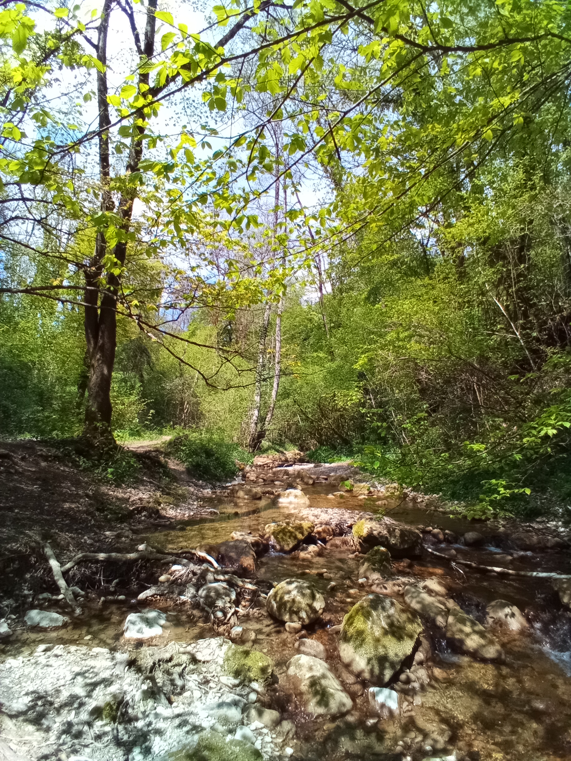 Photo n° 5 de l'avis de Sandrine.e fait le 03/04/2019 à 13:52