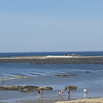 Photo n° 1 de l'avis de Mathilde.o fait le 11/08/2022 à 19:14 pour Auberge du Gros Bill à Pénestin