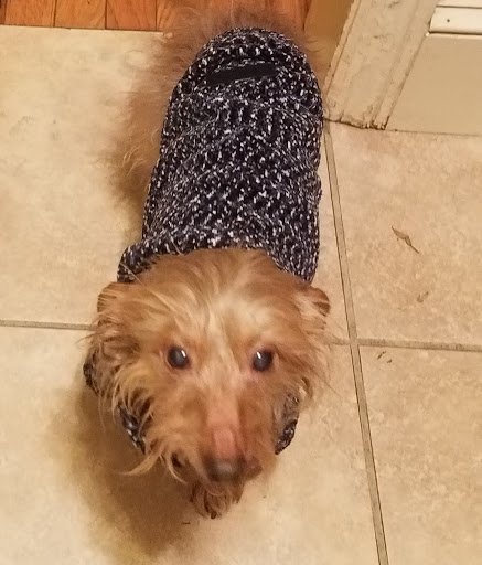  «Yarn & Bone Pet Supply Company», reviews and photos, 129 Rd 4 #1, Camden, DE 19934, USA