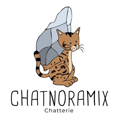 Chatterie Chatnoramix