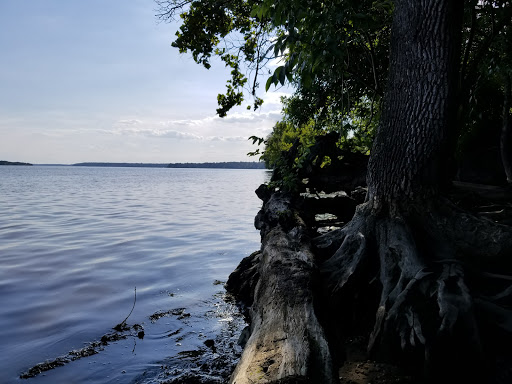 National Park «Fort Hunt Park», reviews and photos, 8999 Fort Hunt Rd, Alexandria, VA 22308, USA
