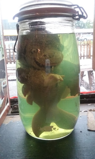 Bar «The Odditorium», reviews and photos, 1045 Haywood Rd, Asheville, NC 28806, USA