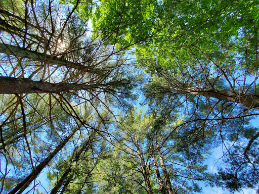 State Park «Hopkinton State Park», reviews and photos, 164 Cedar St, Hopkinton, MA 01748, USA