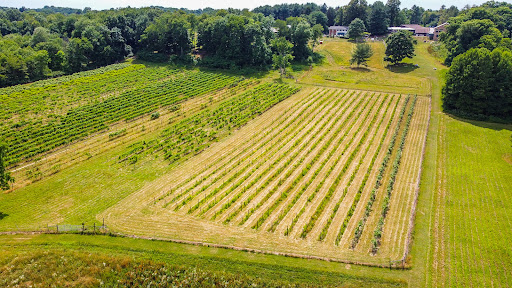 Vineyard «The Winery at Wolf Creek», reviews and photos, 2637 S Cleveland Massillon Rd, Barberton, OH 44203, USA