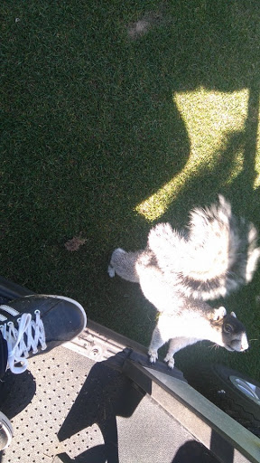 Golf Club «Burning Ridge Golf Club», reviews and photos, 500 Burning Ridge Rd, Conway, SC 29526, USA