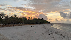 Fainu Island Beach'in fotoğrafı vahşi alan