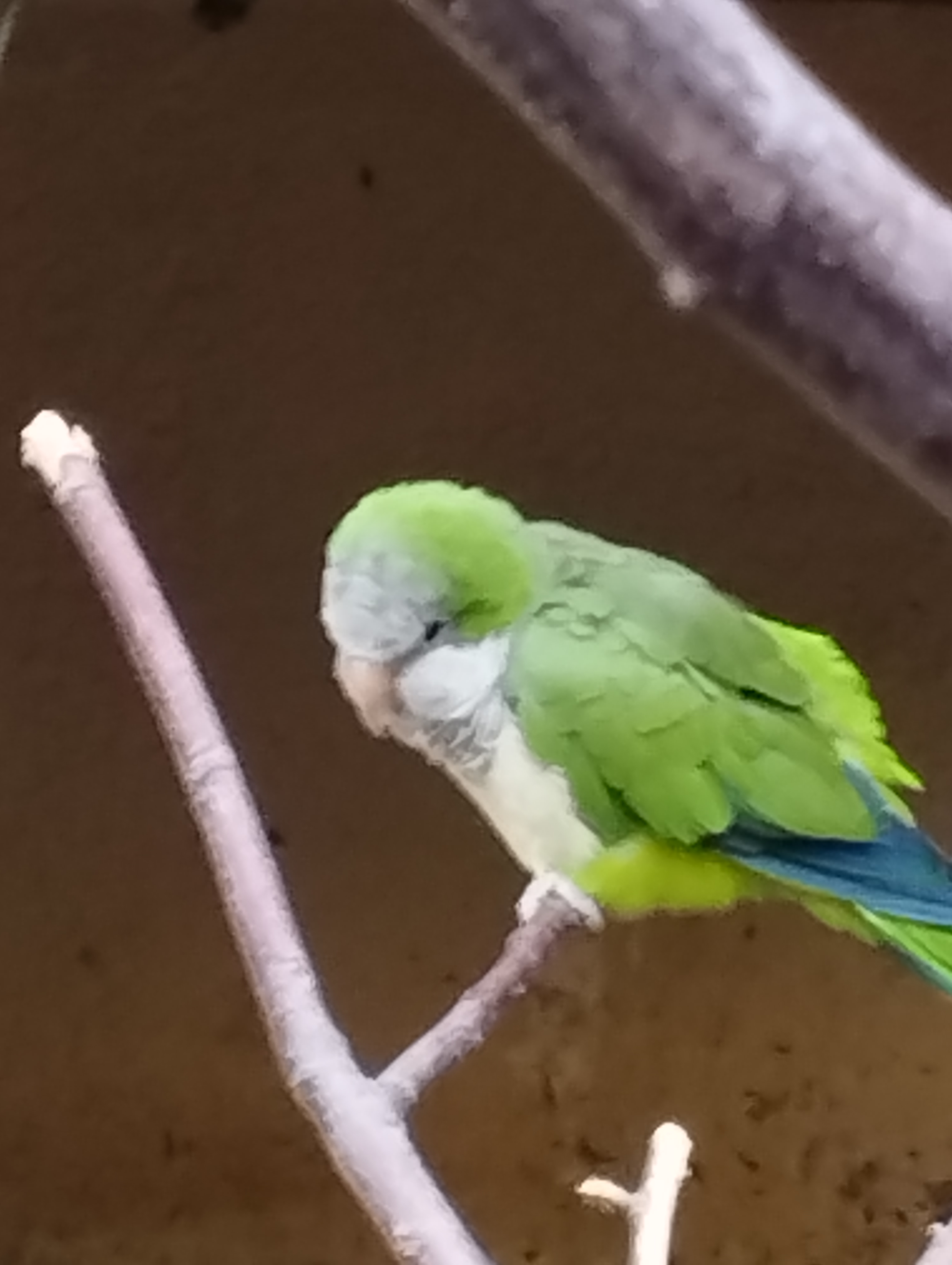 Photo n° 2 de l'avis de Christine.e fait le 10/08/2022 à 21:47