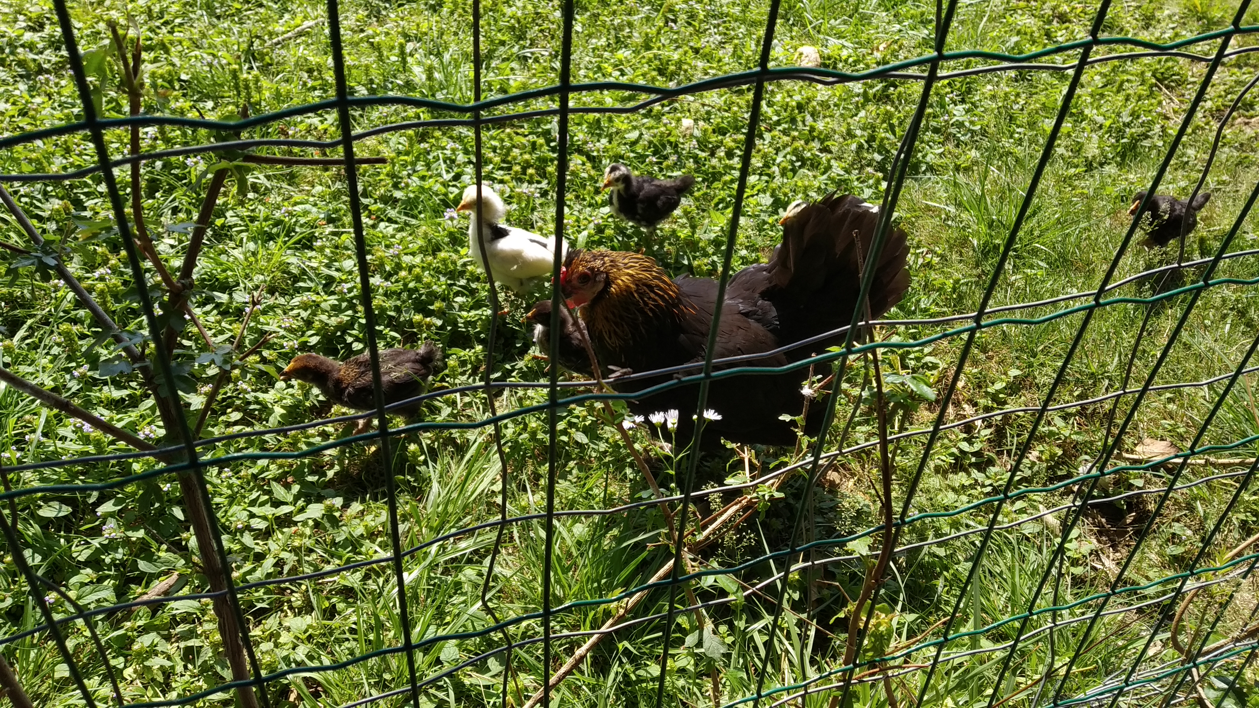 Photo n° 2 de l'avis de Emeline.. fait le 04/07/2019 à 09:32