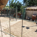 Photo n°2 de l'avis de francesca.a fait le 30/06/2019 à 17:28 sur le  Ristorante Don Antonio ai Camaldoli à Marano di Napoli