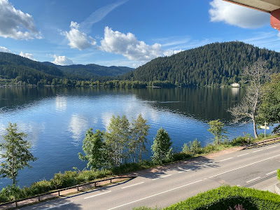 Locations du Lac - GERARDMER à Gérardmer