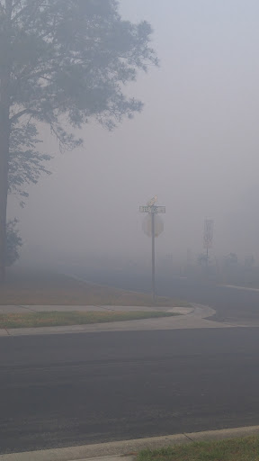 Golf Club «River Ridge Golf Club», reviews and photos, 11022 Tee Time Cir, New Port Richey, FL 34654, USA