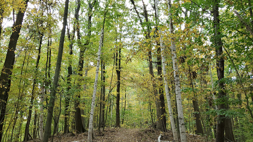 Wedding Venue «The Wadsworth Mansion at Long Hill», reviews and photos, 421 Wadsworth St, Middletown, CT 06457, USA