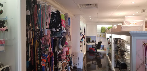 Pet Store «Puppy Boutique Store», reviews and photos, 4001 N Federal Hwy, Fort Lauderdale, FL 33308, USA