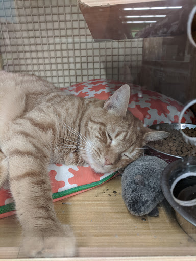 Pet Supply Store «Petco Animal Supplies», reviews and photos, 1060 U.S. 9, Parlin, NJ 08859, USA