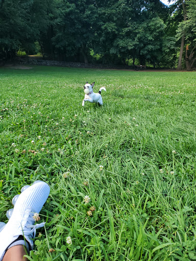Park «Paws Place Dog Park», reviews and photos, Broadfield Rd, New Rochelle, NY 10804, USA