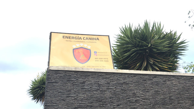 Opiniones de Hotel Canino Energía Canina en Quito - Hotel