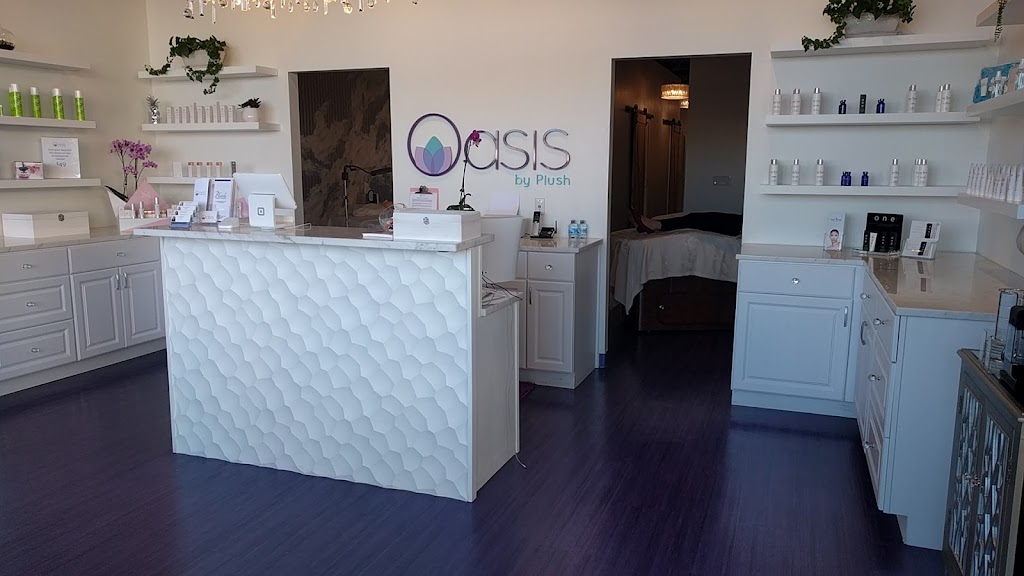 Oasis by Plush 43220