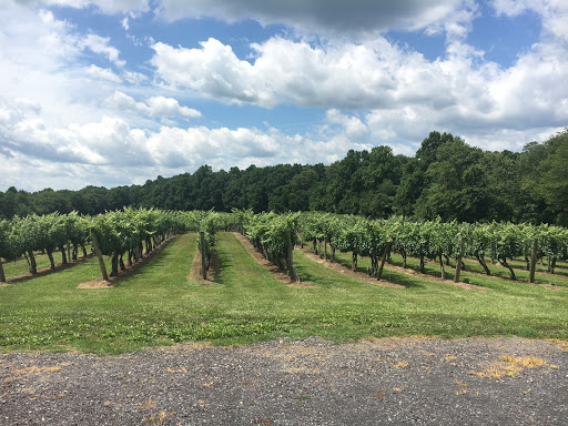 Winery «Gray Ghost Vineyards», reviews and photos, 14706 Lee Hwy, Amissville, VA 20106, USA