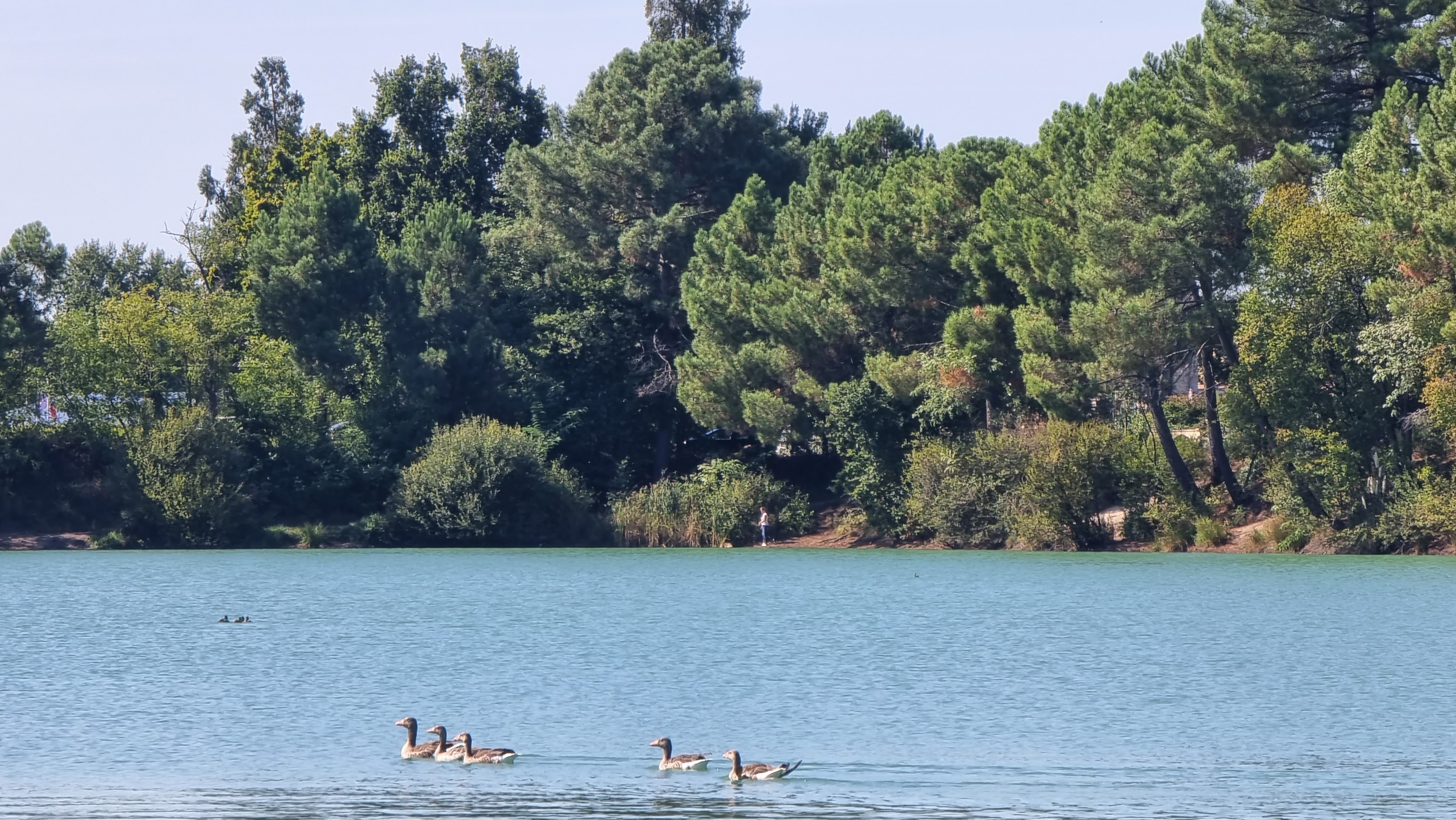 Photo n° 4 de l'avis de Cyril.h fait le 31/08/2022 à 18:57