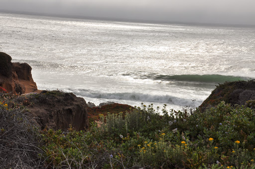 Golf Course «Del Monte Golf Course», reviews and photos, 1300 Sylvan Rd, Monterey, CA 93940, USA