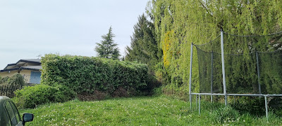 Br Espace Services à Saint-Pierre-en-Faucigny