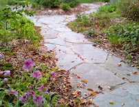 Kalamazoo Garden Design & Maintenance - Photo 8 - Car repair in Kalamazoo, MI, Kalamazoo