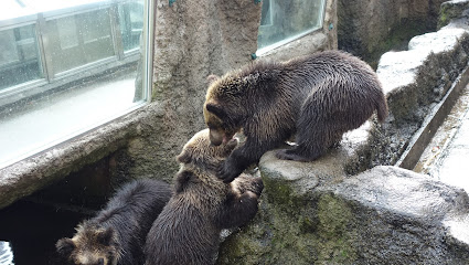 子グマ牧場