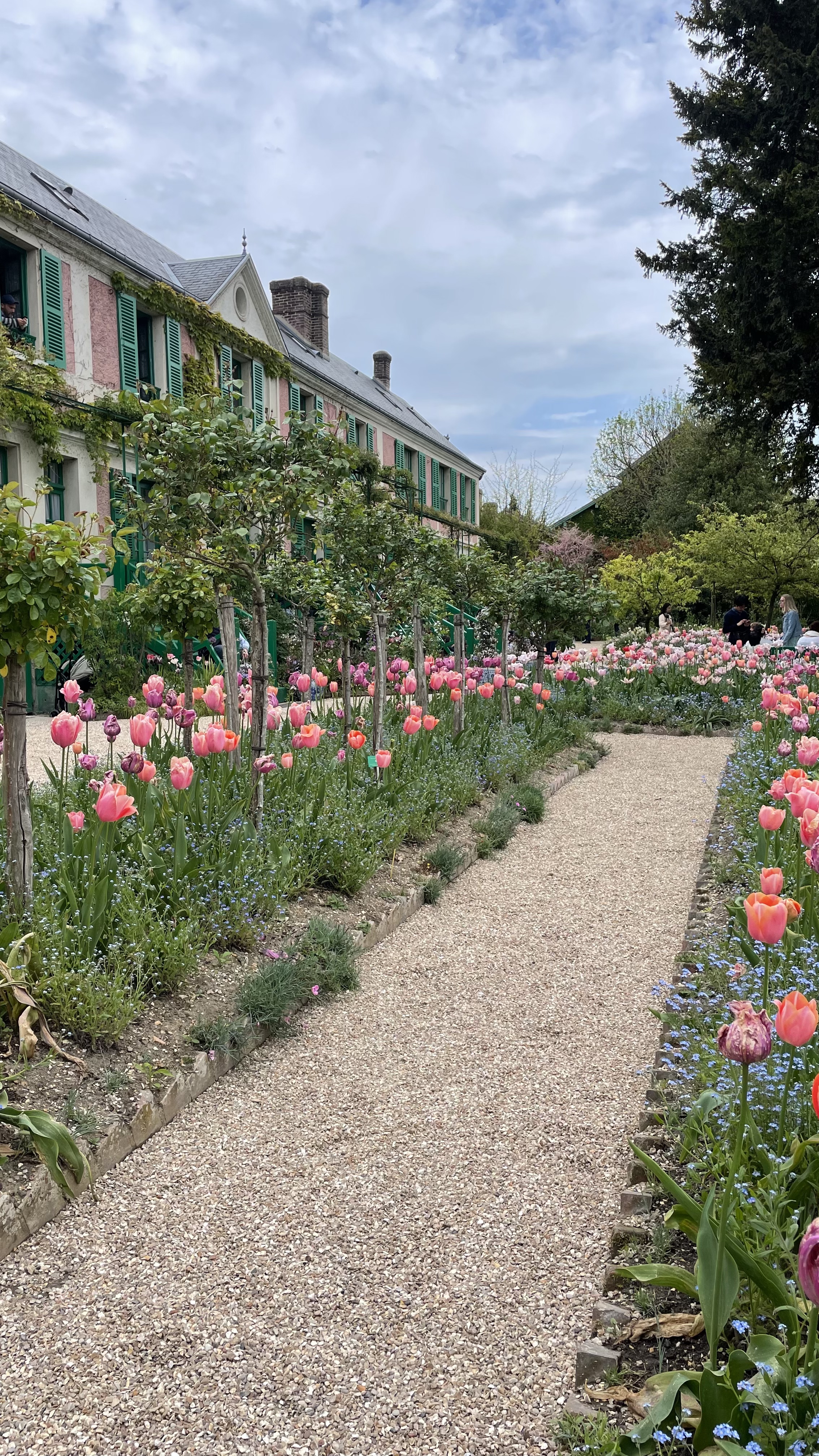 Photo n° 12 de l'avis de Marine.o fait le 21/05/2023 à 14:18