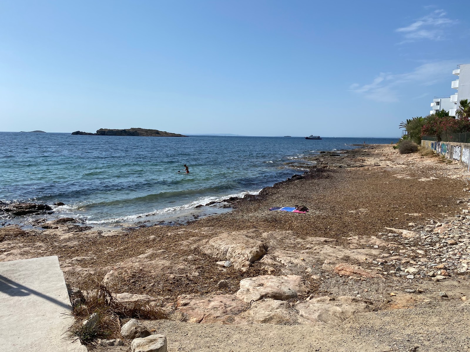 Playa Para Perros photo #8