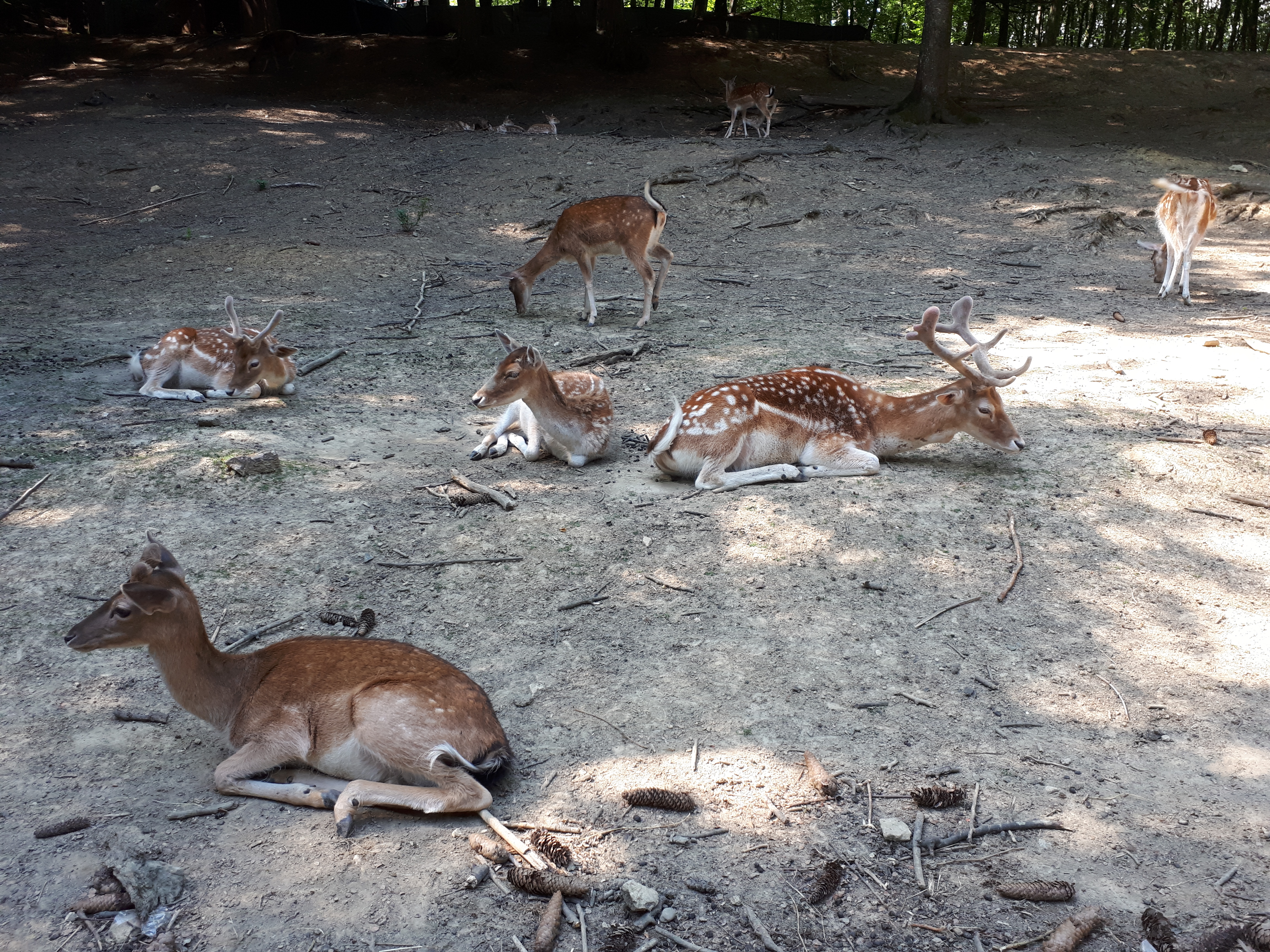 Photo n° 3 de l'avis de Annabelle.u fait le 15/07/2019 à 18:39