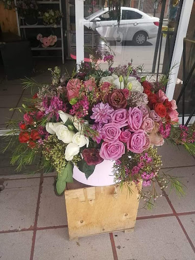 Floreria inova – Aguascalientes