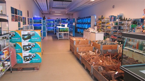 Akvariestuen in Slagelse, Ringsted